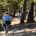0273-Image-6